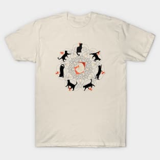 Circle of black cats who become witches on Halloween T-Shirt